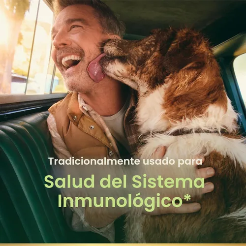 Miniatura 2 de De la Naturaleza Bounty todo natural zacate Echinacea 400 mg, 100 Cápsulas, 5633, 1, 1
