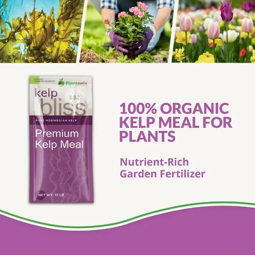 Miniatura 2 de Kelp Bliss (10 libras) - Fertilizante orgánico de harina de algas para plantas, suelo de jardín, flores, verduras y césped, fertilizante orgánico
