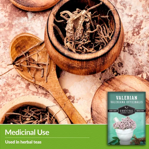 Miniatura 4 de Survival Garden Seeds - Semillas de valeriana para plantar - 1 paquete con instrucciones para plantar y cultivar hierba medicinal Valeriana