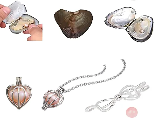 Miniatura 5 de Perlas de agua dulce con diseño de ostras cultivadas con deseos de amor, varios colores brillantes y significativos, ostras con perlas