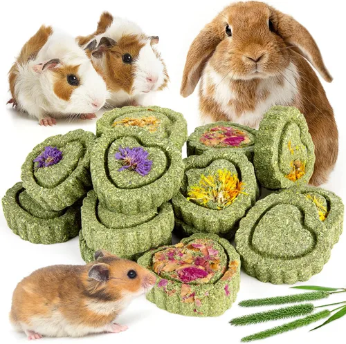 Sofier Timothy Heno Treats - Juguetes para conejo, conejillo de indias, masticables naturales para dientes hechos a mano para conejos, masticables y