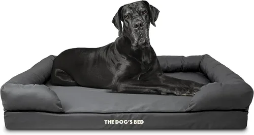 Miniatura 22 de The Dog's Bed - Cama ortopédica de espuma viscoelástica para perros medianos, colchón de soporte de alta densidad, entrada frontal baja, funda negro