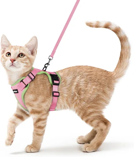 Miniatura 104 de rabbitgoo Cat Harness and Leash Set, Escape Proof Vest, XXS, Berry Pounce Soft Breathable Mesh, No-choke Adjustable Fit, Snap Buckles, Sturdy