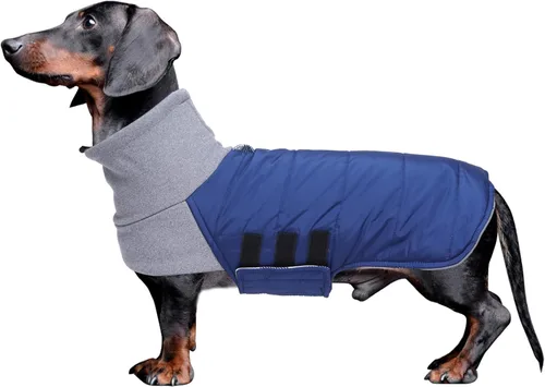 Miniatura 7 de Abrigo de perro salchicha para perro salchicha Corgi Weiner reversible, abrigo de invierno acolchado con forro de algodón y cuello alto, traje