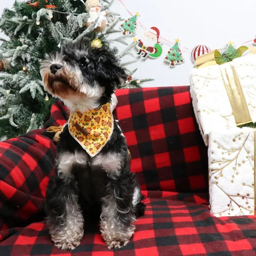Miniatura 4 de Lionet Paws Bandana de Acción de Gracias para perro, lavable, de algodón, pañuelo triangular, pañuelo de pavo para perros pequeños, medianos