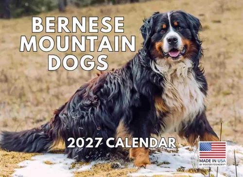 Miniatura 119 de Calendario de pared mensual 2025 Great Dane de 12 meses, fabricado en Estados Unidos