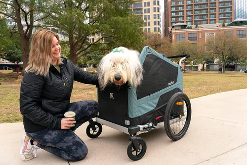 Miniatura 3 de Burley Bark Ranger™ - Remolque de bicicleta para mascotas