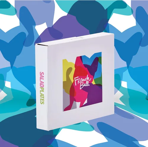 Miniatura 12 de French Bull Juego de 4 platos – Juego de 4 platos de ensalada de melamina de 9 pulgadas – Vajilla de melamina para interiores y exteriores – Foli