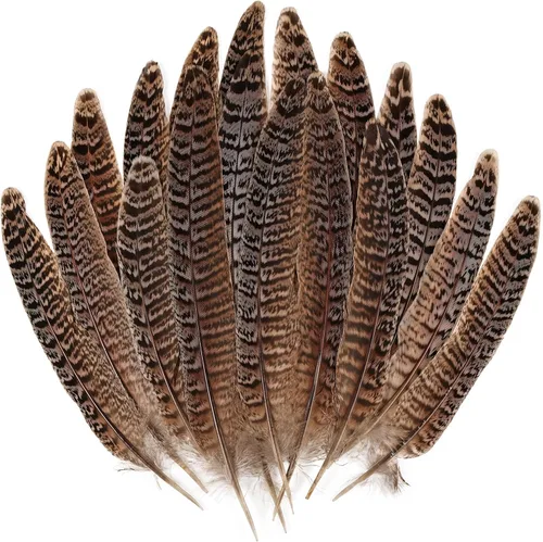 MAOFENG 12 plumas naturales femeninas de cuello de anillo, plumas de faisán de 6 a 8 pulgadas, 5.9-7.9 in para manualidades, bodas, fiestas,