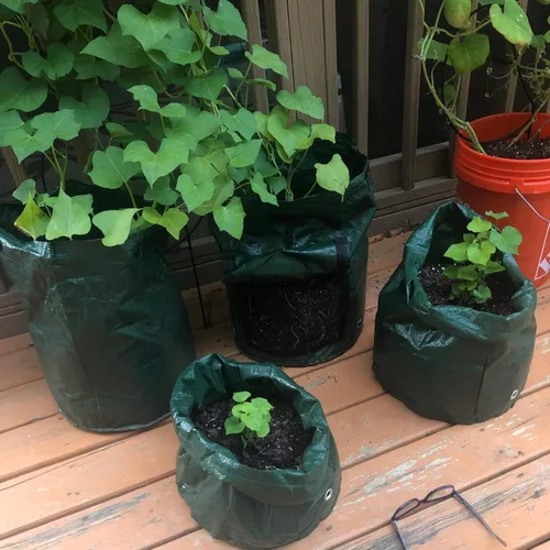 Miniatura 9 de JJGoo Paquete de 2 bolsas de cultivo de patatas de jardín de 10 galones con solapa y asas de aireación, macetas de tela de aireación, macetas