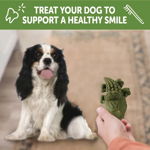 Miniatura 6 de WHIMZEES Wellness Alligator - Golosinas dentales para perros, masticables naturales, tamaño pequeño, (24 unidades)