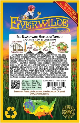 Miniatura 2 de Everwilde Farms - Semillas de tomate tradicional de Brandywine rojo de 1 onza - Gold Vault