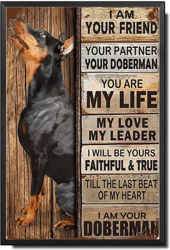 Miniatura 34 de Letrero de Metal Letrero de Hojalata Arte de Pared Vintage I Am Your Friend Regalo para Amantes de Schnauzer Arte de Pared Vintage Impresiones