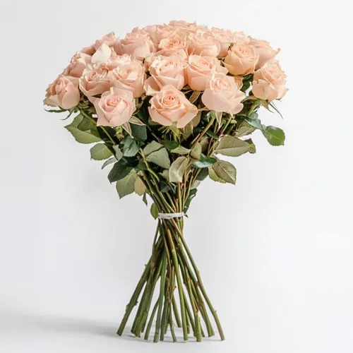 Miniatura 22 de GlobalRose Ramo de 100 Rosas Melocotón - Rosas de Origen Responsable Flores Frescas - Ramo Fresco de Flores Seleccionadas a Mano para Graduación