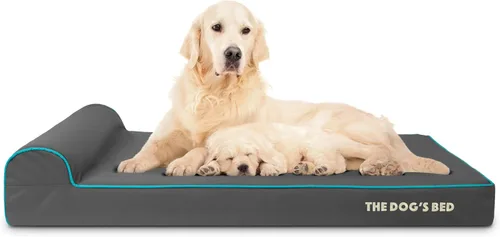 Miniatura 42 de The Dog's Bed - Cama Ortopédica para Perros con Reposacabezas XL Negra de Felpa, Espuma Viscoelástica, Alivio del Dolor para Artritis, Displasia