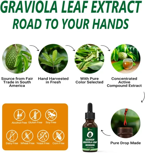 Miniatura 4 de Gotas líquidas de extracto de hoja de graviola de guanábana orgánica, líquido puro amargo de guanábana para apoyo inmunológico, certificado GMP