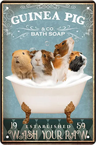 Divertido cartel decorativo de baño con diseño de cobaya, decoración de pared, cartel de baño, accesorios para amantes de las cobayas, arte de pared