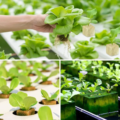 Miniatura 7 de Legigo Cubos de lana de roca de 1 pulgada para hidroponía, cubos de cultivo para plantación de lana de roca para torre hidropónica, jardín, plantas