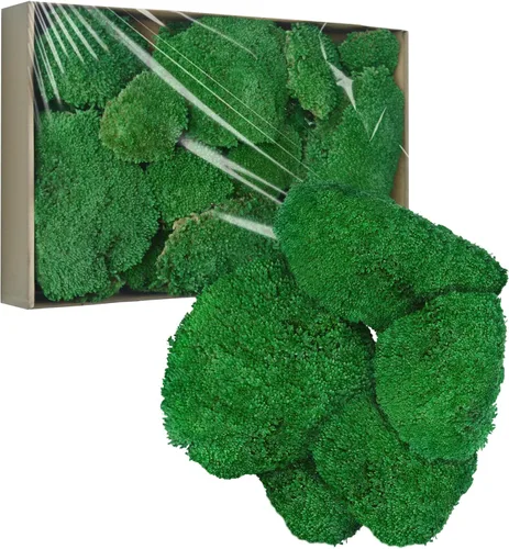 Miniatura 8 de TurelinnG Decoración de musgo preservado, musgo de bosque real, musgo para manualidades, flexible para manualidades, hogar, pared, terrario