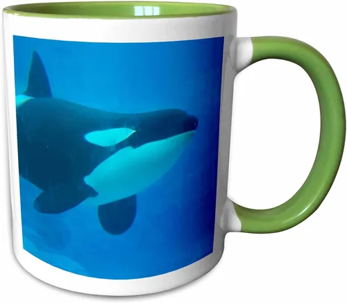 Miniatura 8 de 3dRose Orca Killer Whale - Taza de cerámica azul subacuática, 11 onzas