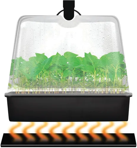 Miniatura 4 de Super Sprouter estación de propagación con bóveda de 7 pulgadas, Premium Propagation Kit con luz T5