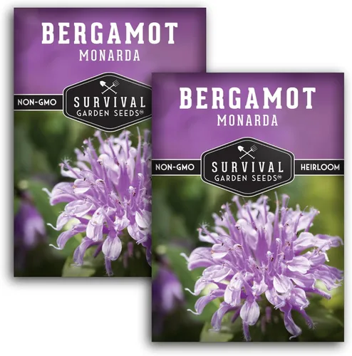 Miniatura 11 de Survival Garden Seeds - Semilla de hierba de bergamota (bálsamo de abeja) para plantar - 3 paquetes con instrucciones para plantar y cultivar flores