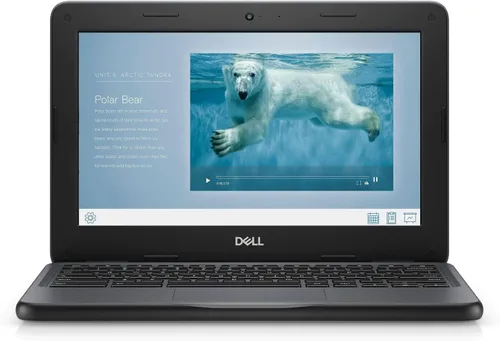 Miniatura 4 de Dell Chromebook 11 3100 - Chromebook de 11.6 pulgadas - 1366 x 768 - Celeron N4020 - 4 GB RAM - 16 GB de memoria flash - Chrome OS - Gráficos Intel