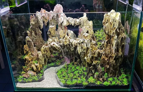 Miniatura 5 de Acuario Ohko Dragon Stone Rock Tamaños Mixtos