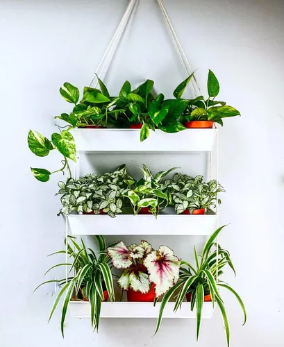 Miniatura 11 de LaLaGreen - Maceta escalonada de 16 pulgadas para plantas suculentas de interior, maceta rectangular moderna de metal negro de 3 niveles