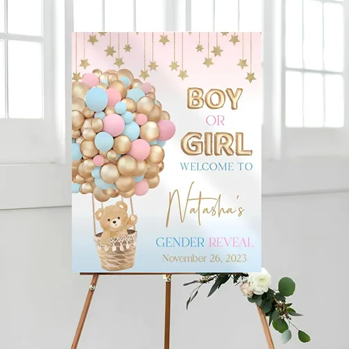 Miniatura 15 de Letrero de bienvenida de revelación de género de arco para niño o niña Versión #17