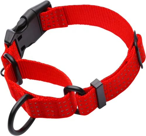 Miniatura 10 de Collar Martingale para Entrenamiento de Perros. Collares Reflectantes Ajustables para Perros con Hebilla - SIN Tirones - Previene que se Escapen