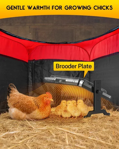 Miniatura 6 de Magicfly - Plato de criador para pollitos ajustable de 200 W con temperatura y temporizador, diseño seguro que cumple con UL, calentador radiante