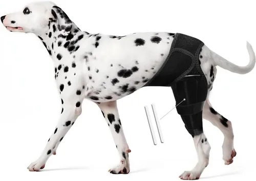 Rodillera de pierna de perro para desgarro de ACL con estabilizadores laterales, soporte de pierna trasera para perro trasero para recuperación de