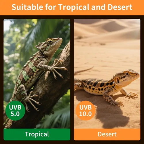 Miniatura 6 de Luz de reptil UVA UVB de 23 W 10.0, terrario del desierto, lámpara fluorescente compacta, bombilla de reptil UVB para dragón barbudo, lagarto