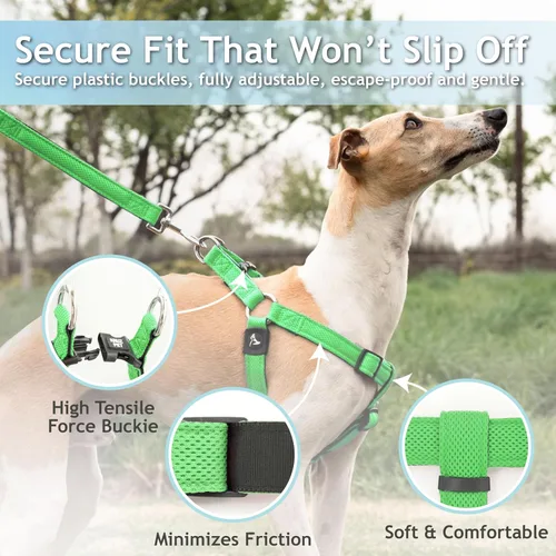 Miniatura 2 de Kruz - Arnés para perro sin tirones (pecho 21-30 pulgadas, peso de 22-53 libras), arnés resistente para razas medianas, ajuste ultra cómodo, Verde