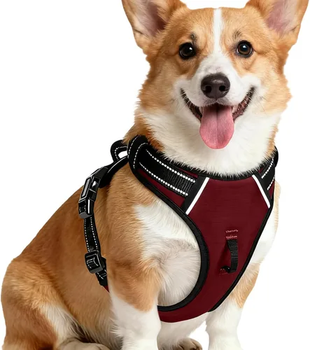 Miniatura 71 de Arnés para perro sin tirones, chaleco reflectante ajustable y acolchado para mascotas con asa de fácil control, fácil de llevar con nudo elegante