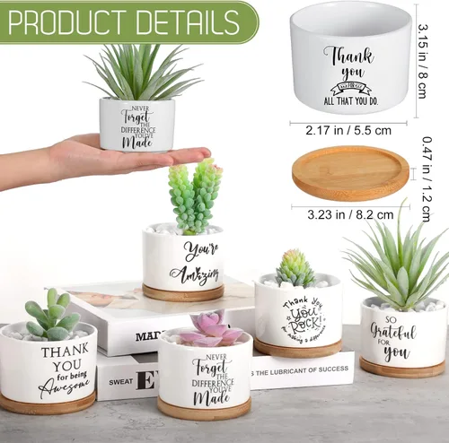 Miniatura 2 de Yaomiao 20 piezas de regalo de la semana de CNA, regalos de agradecimiento a los empleados, regalos de plantas suculentas a granel para mujeres