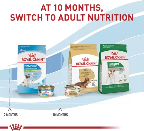 Miniatura 7 de Royal Canin Size Health Nutrition Cachorro X-Small Rebanadas Delgadas en Salsa Alimento para Perros, 3 oz (Paquete de 12)