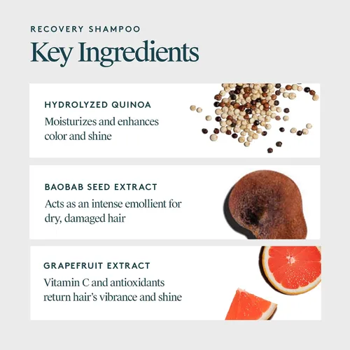 Miniatura 3 de VIRTUE Champú de recuperación sin sulfato con queratina y aceite de semilla de baobab para cabello dañado, color seguro