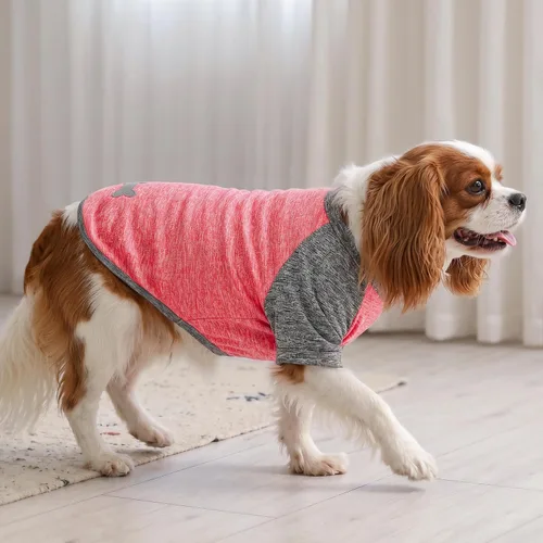 Miniatura 7 de KYEESE Paquete de 2 camisetas para perro con mangas, camisetas ligeras de protección solar para perros pequeños, transpirables para mascotas, ropa