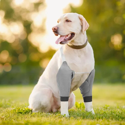 Miniatura 2 de Oudain 2 pares de protectores de codo de perro con banda elástica, suave acolchado ajustable para perritos pequeños, medianos y grandes, 2