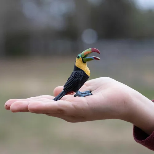 Miniatura 2 de Safari Ltd. Figura de pájaro realista de 2.75 pulgadas, juguete educativo para niños, niñas y niños a partir de 3 años