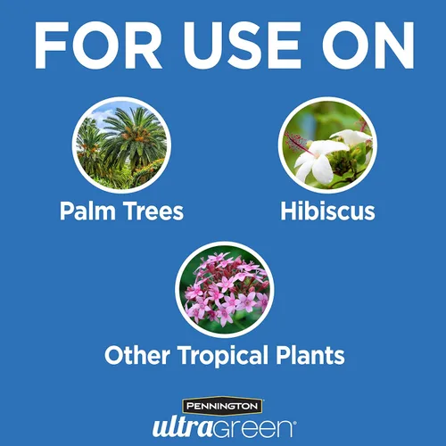 Miniatura 3 de Pennington 100525942 Ultra Green Palm Tree & Hibsicus 9-4-9 Alimento vegetal, 5 lb