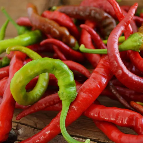 Aci Sivri Kil - Pimienta de chile turco - 25 semillas - Variedad de reliquia y polinizada abierta, semillas de chile cultivadas en Estados Unidos,