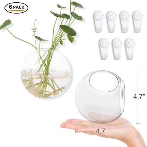 Miniatura 5 de Macetas colgantes de pared, paquete de 6 macetas de vidrio para plantas, jarrones redondos de pared para flores, estación de propagación colgante