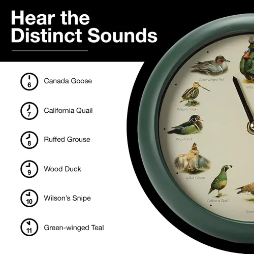 Miniatura 6 de Mark Feldstein, reloj cantando aves de caza salvaje de América del Norte, 8 pulgadas, verde