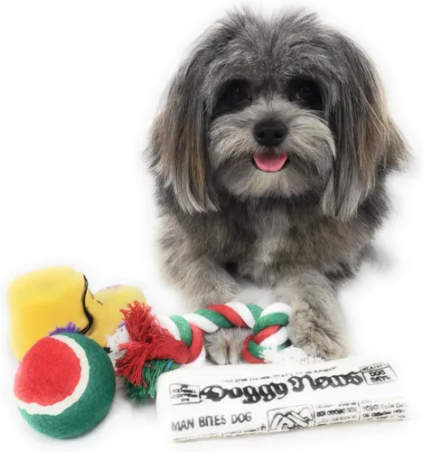 Miniatura 6 de Calcetín de Navidad para perros. Juguete de periódico chirriante, juguete de bota chirriante, una pelota de tenis roja, verde y blanca y una cuerda