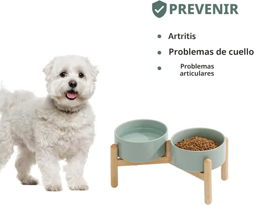 Miniatura 5 de Havniva Cuenco elevado de cerámica de 6.1 pulgadas para perros con soporte para platos de perros de razas pequeñas y medianas, cuenco de comida y 2