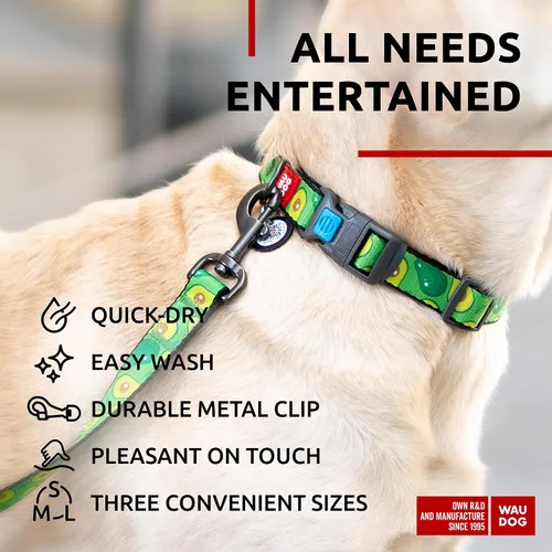 Miniatura 5 de WAUDOG Correa de nailon para perro, 4 pies, fuerte y resistente para perros y cachorros grandes y medianos