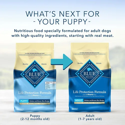 Miniatura 3 de Blue Buffalo Life Protection Formula - Kit de iniciación natural para cachorros, comida seca y húmeda para perros, y golosinas para cachorros Blue